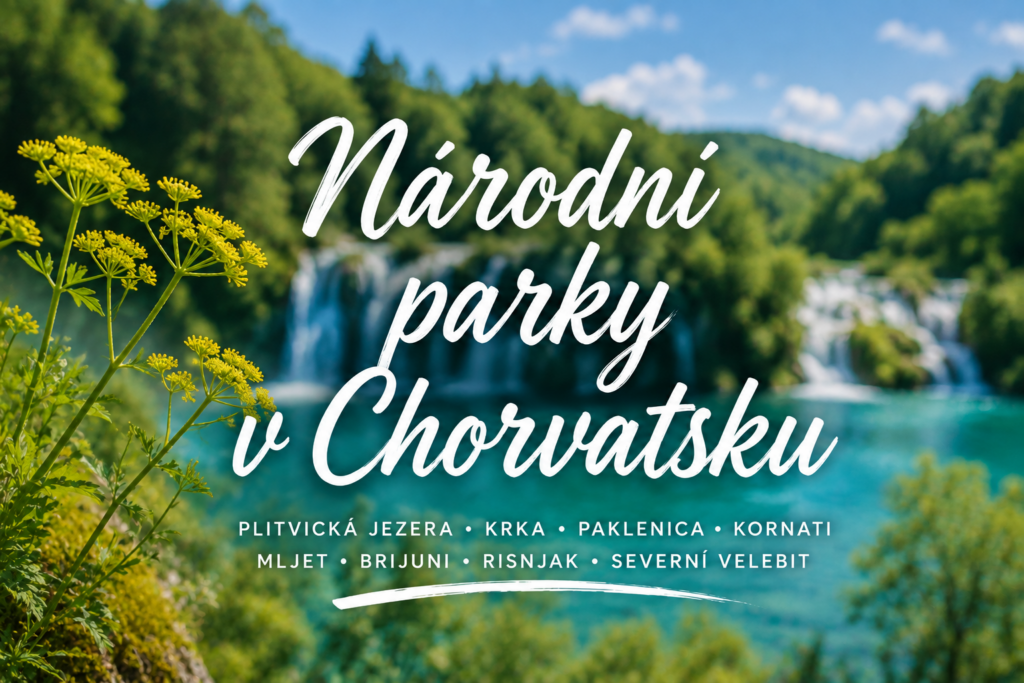 Chorvatské národní parky – Plitvická jezera v Chorvatsku s tyrkysovými jezery, vodopády a žlutě kvetoucí rostlinou v popředí